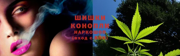 СК Покров