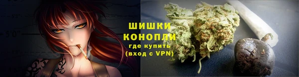 трава Аркадак