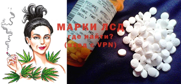 трава Аркадак