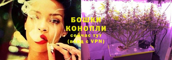 трава Аркадак