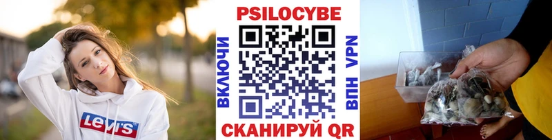 маркетплейс телеграм  Белово  Галлюциногенные грибы прущие грибы  цены  