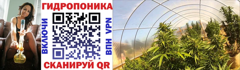Марихуана SATIVA & INDICA  как найти наркотики  ОМГ ОМГ ТОР  Белово 